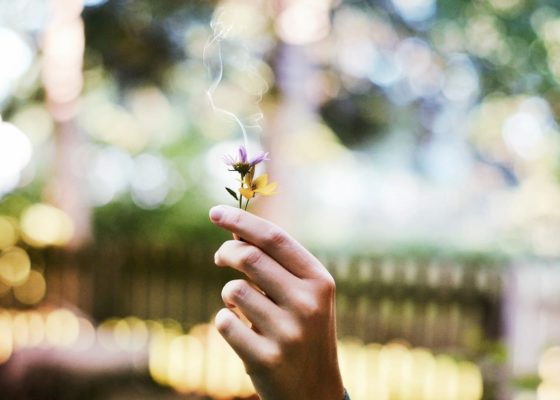 Arreter de fumer du cannabis seul ?