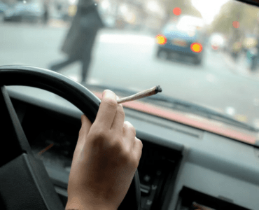 Conduite cannabis